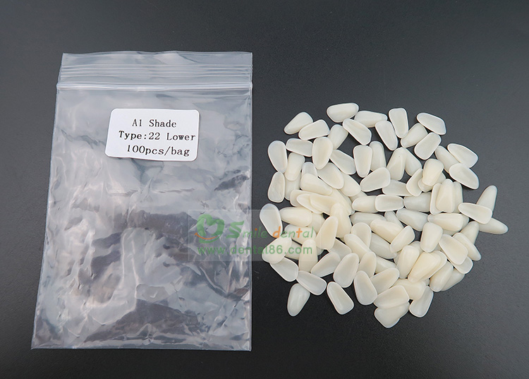SA81 Resin Veneers